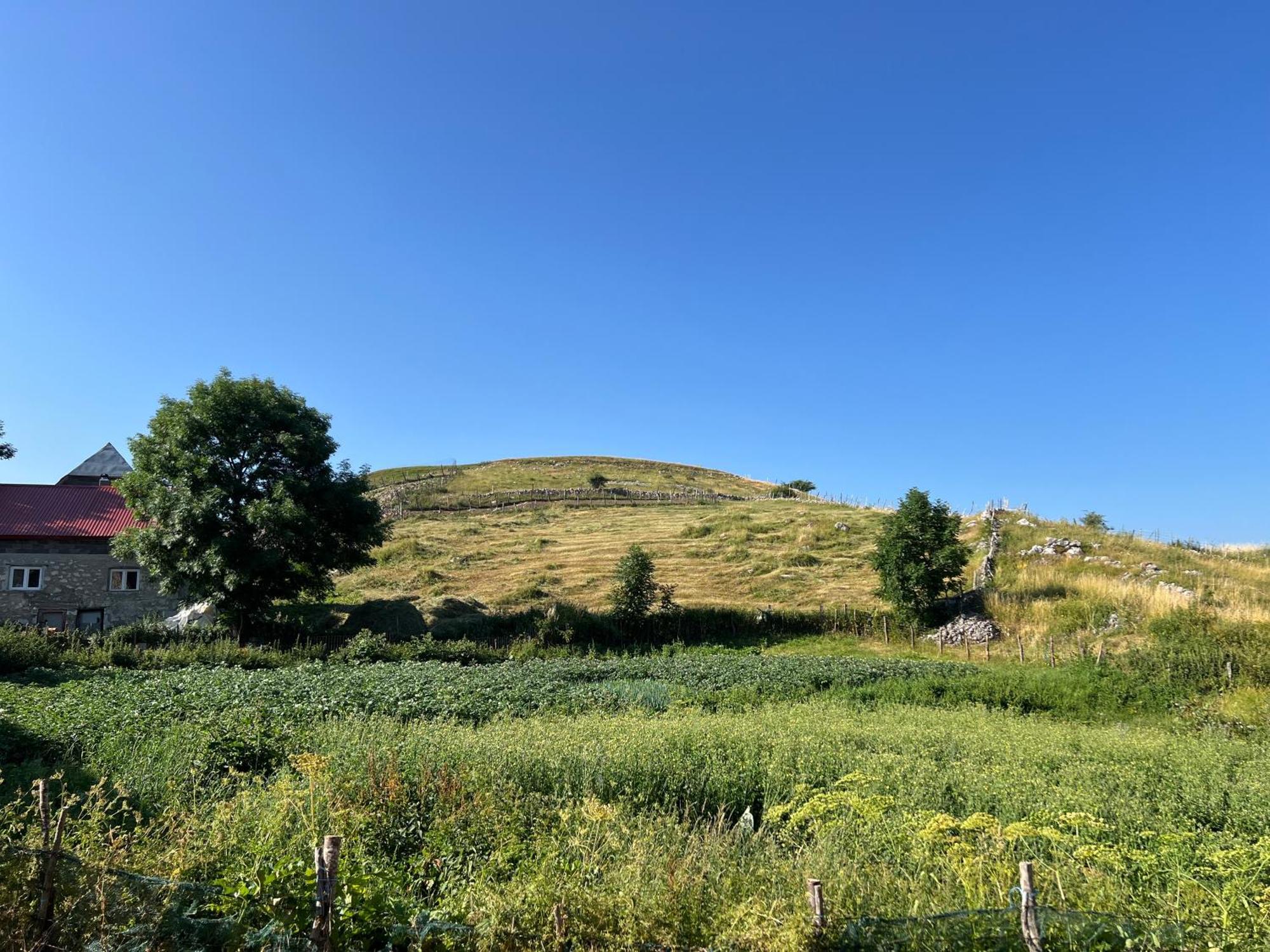 Bed and Breakfast Kod Kapetana Tea Gornji Lukomir Экстерьер фото